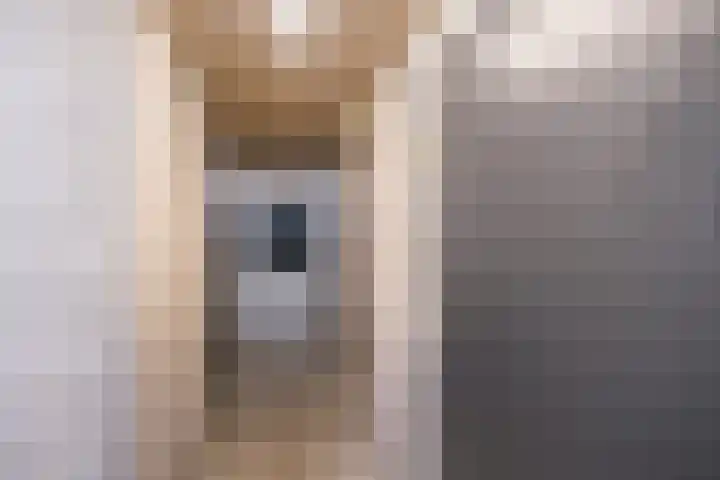 Belvédèrelaan 255 Zwolle thumbnail 39