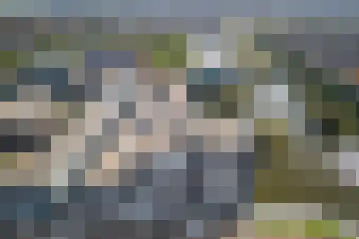 Belvédèrelaan 255 Zwolle thumbnail 46