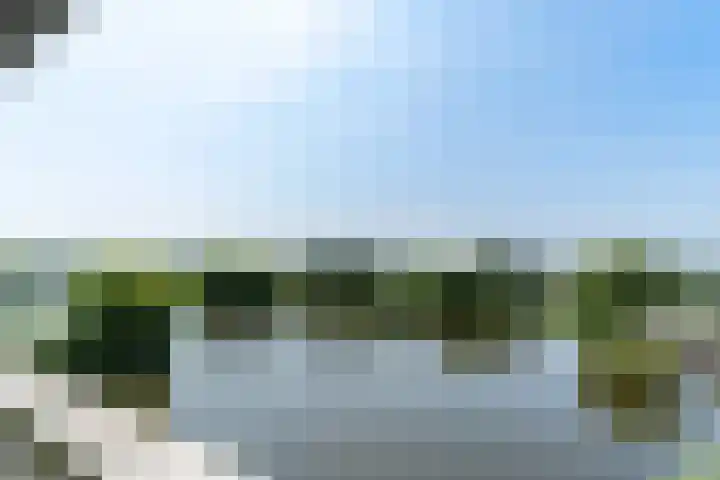Belvédèrelaan 271 Zwolle thumbnail 15