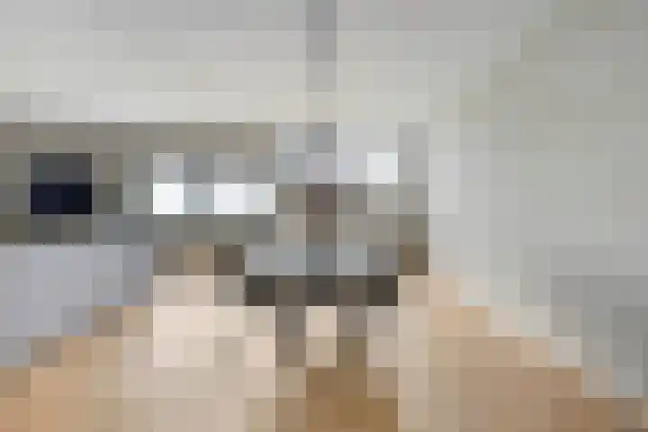 Belvédèrelaan 321 Zwolle thumbnail 15