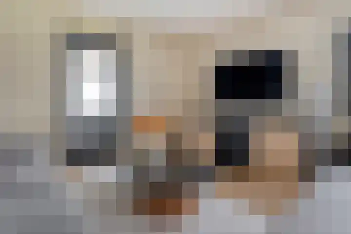 Belvédèrelaan 321 Zwolle thumbnail 18