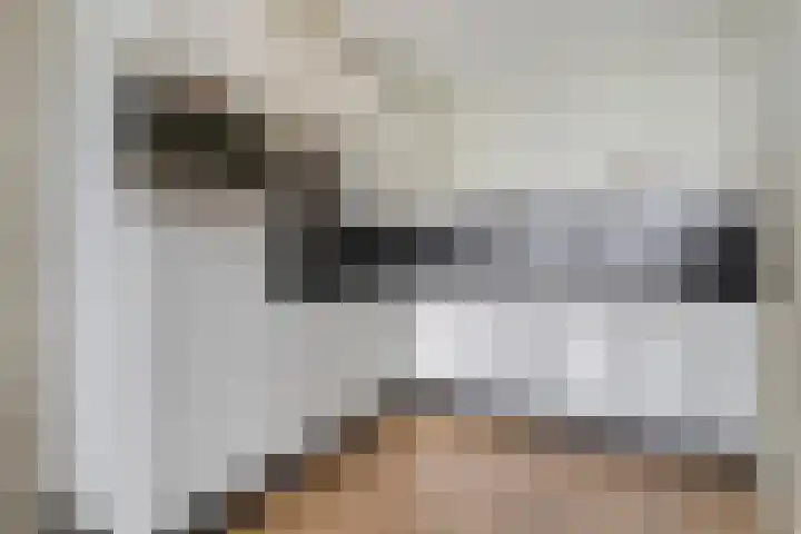 Belvédèrelaan 321 Zwolle thumbnail 21