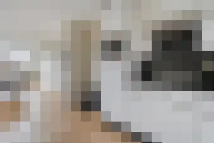 Belvédèrelaan 321 Zwolle thumbnail 22