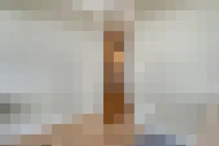 Belvédèrelaan 321 Zwolle thumbnail 26
