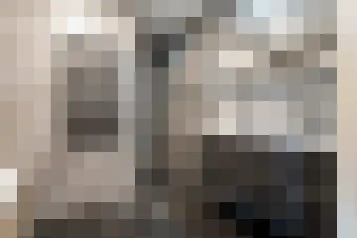 Belvédèrelaan 321 Zwolle thumbnail 28