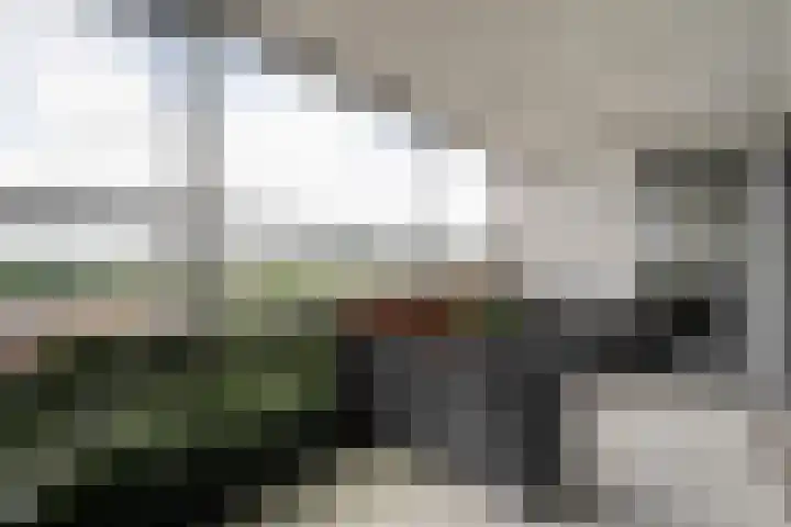 Belvédèrelaan 321 Zwolle thumbnail 32