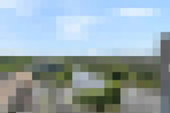 Belvédèrelaan 321 Zwolle thumbnail 33