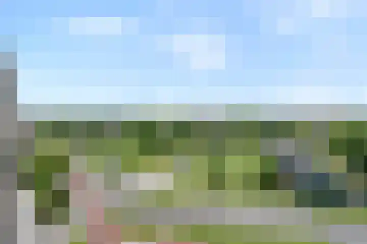 Belvédèrelaan 321 Zwolle thumbnail 35