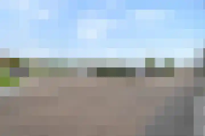 Belvédèrelaan 321 Zwolle thumbnail 41