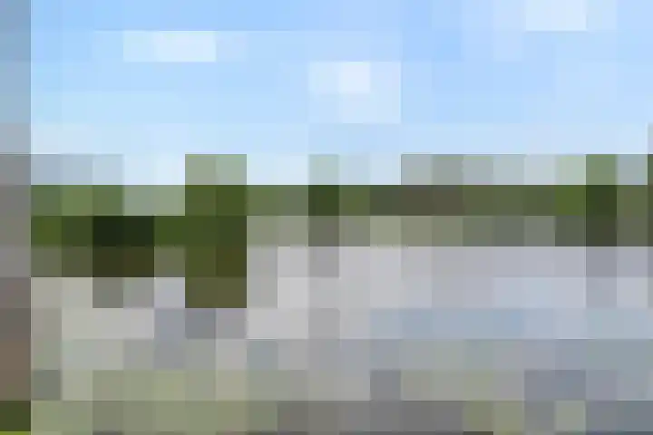 Belvédèrelaan 321 Zwolle thumbnail 42