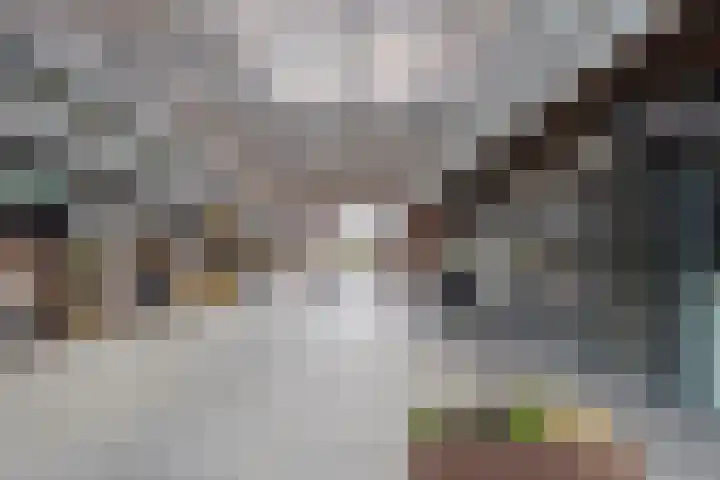 Belvédèrelaan 321 Zwolle thumbnail 43