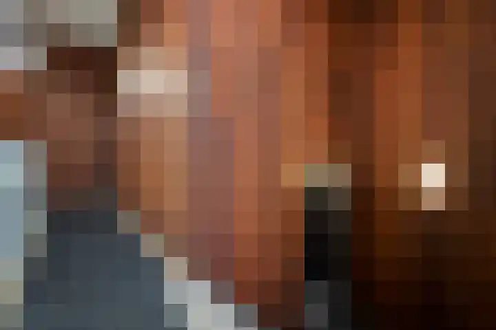Belvédèrelaan 321 Zwolle thumbnail 8