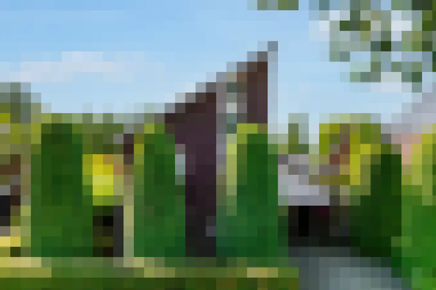 Belvédèrelaan 404 Zwolle