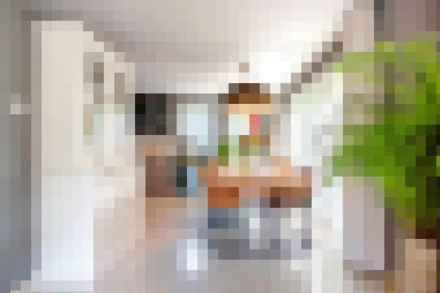 Belvédèrelaan 404 Zwolle thumbnail 12