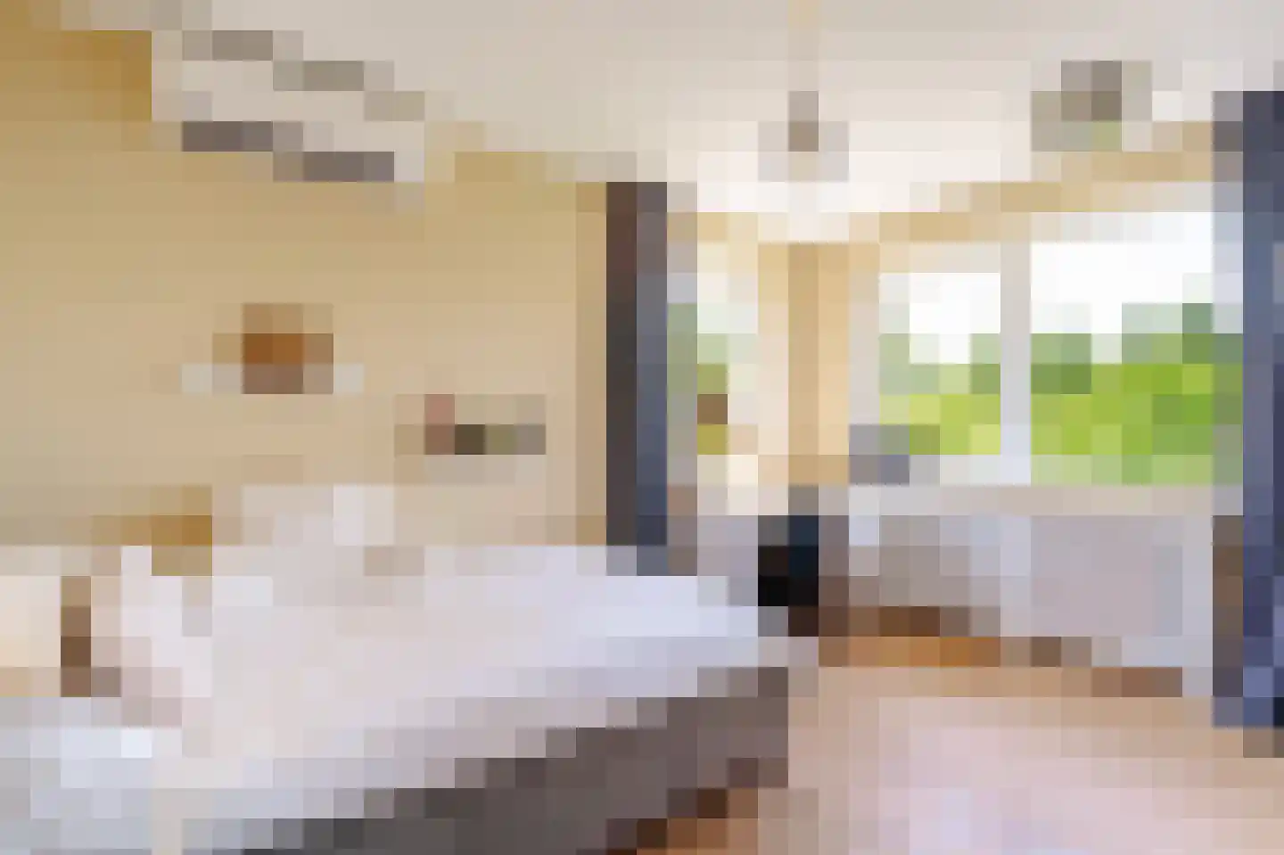Belvédèrelaan 404 Zwolle thumbnail 29