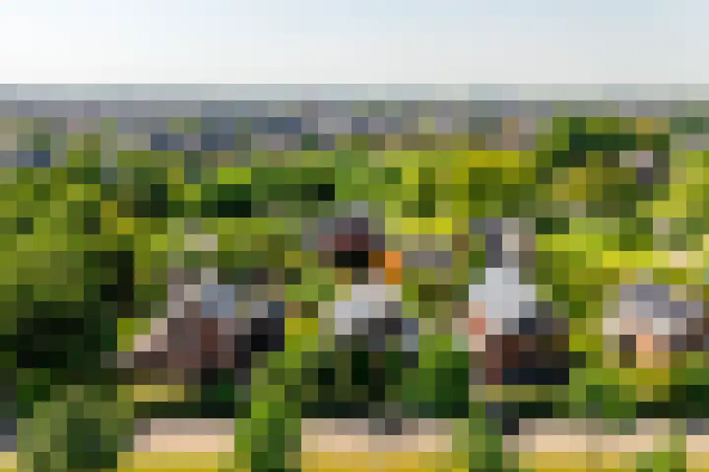 Belvédèrelaan 404 Zwolle thumbnail 4