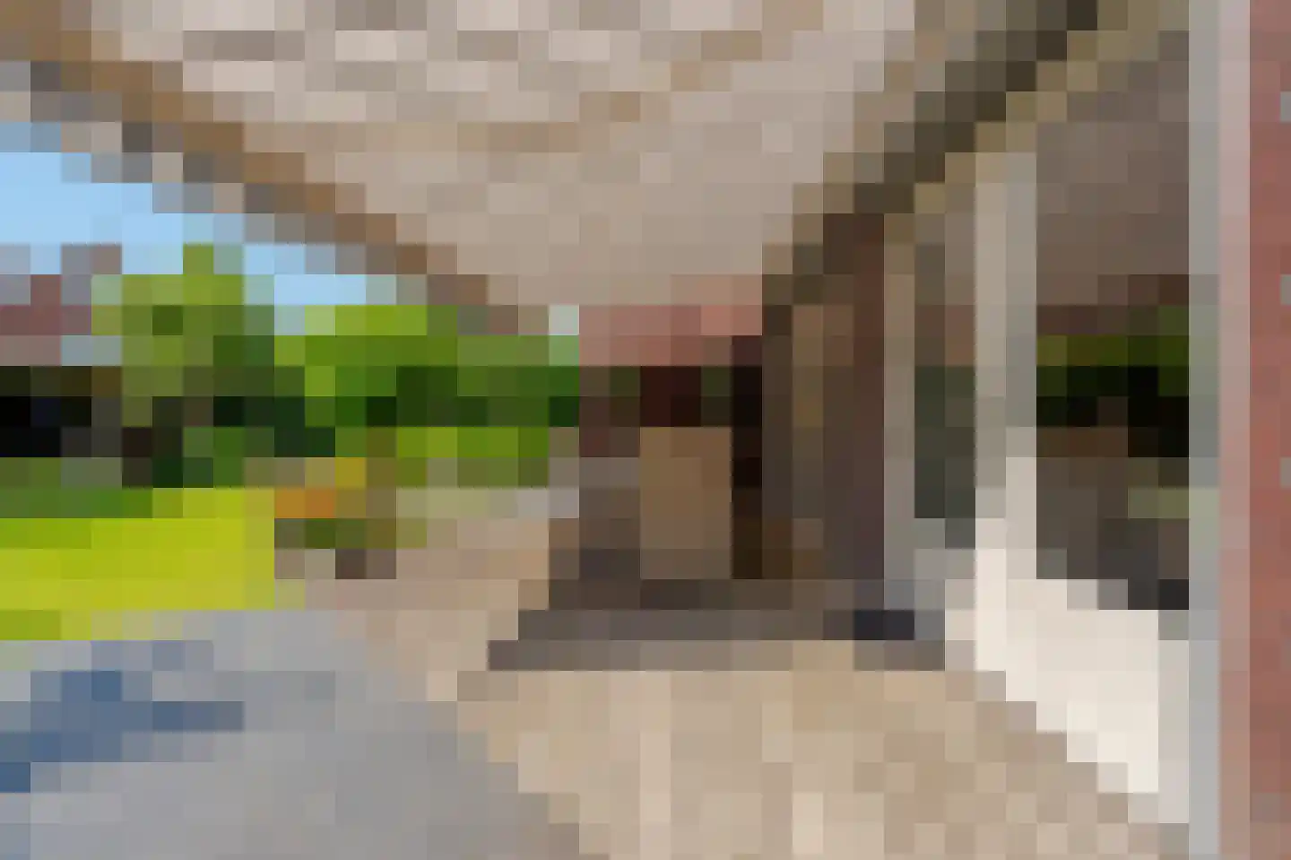 Belvédèrelaan 404 Zwolle thumbnail 43