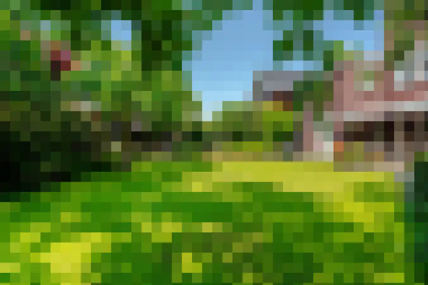 Belvédèrelaan 404 Zwolle thumbnail 45