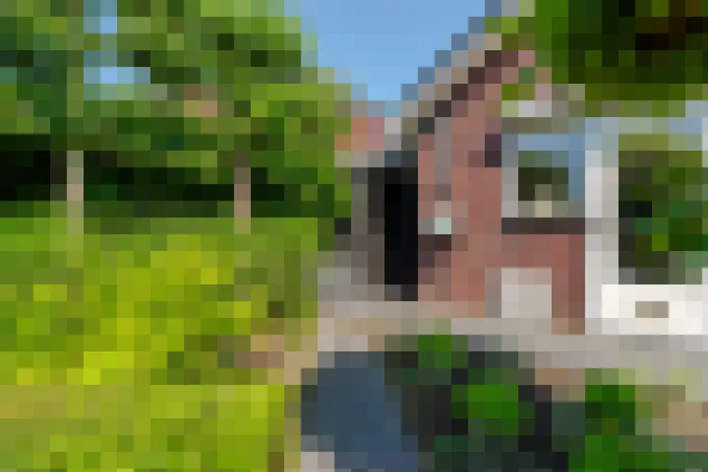 Belvédèrelaan 404 Zwolle thumbnail 46