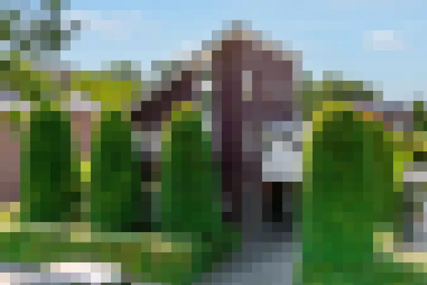 Belvédèrelaan 404 Zwolle thumbnail 52