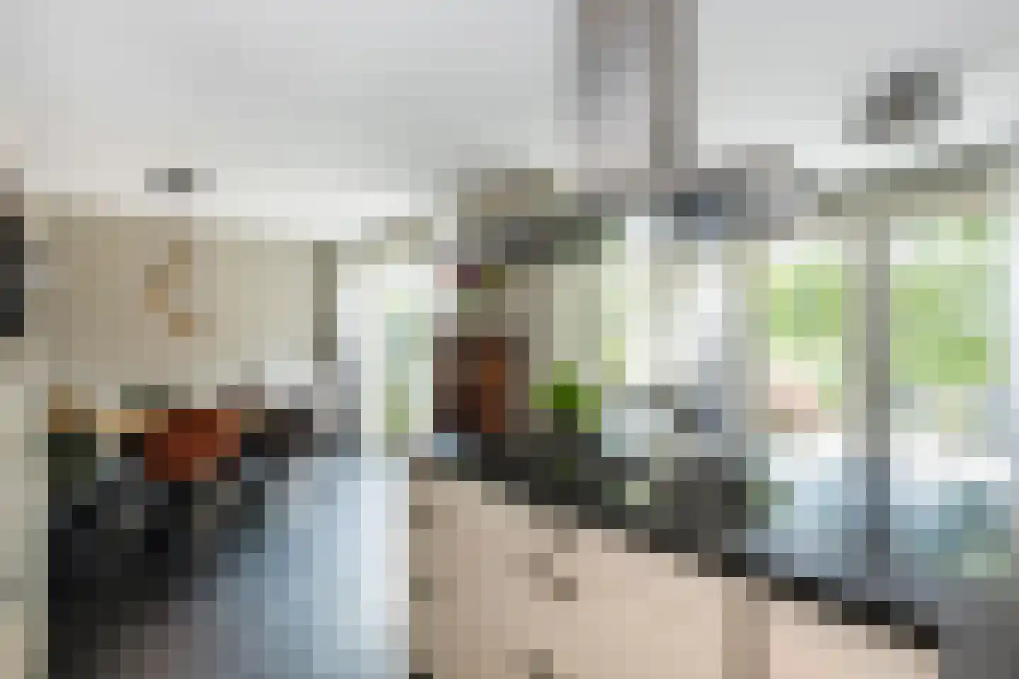 Belvédèrelaan 412 Zwolle thumbnail 16