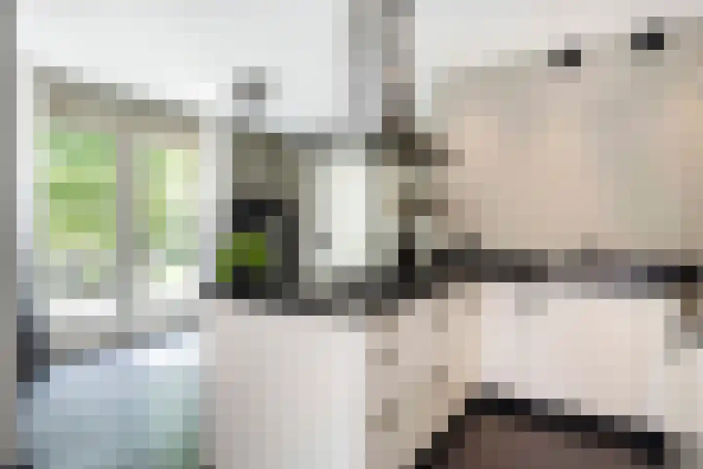 Belvédèrelaan 412 Zwolle thumbnail 18