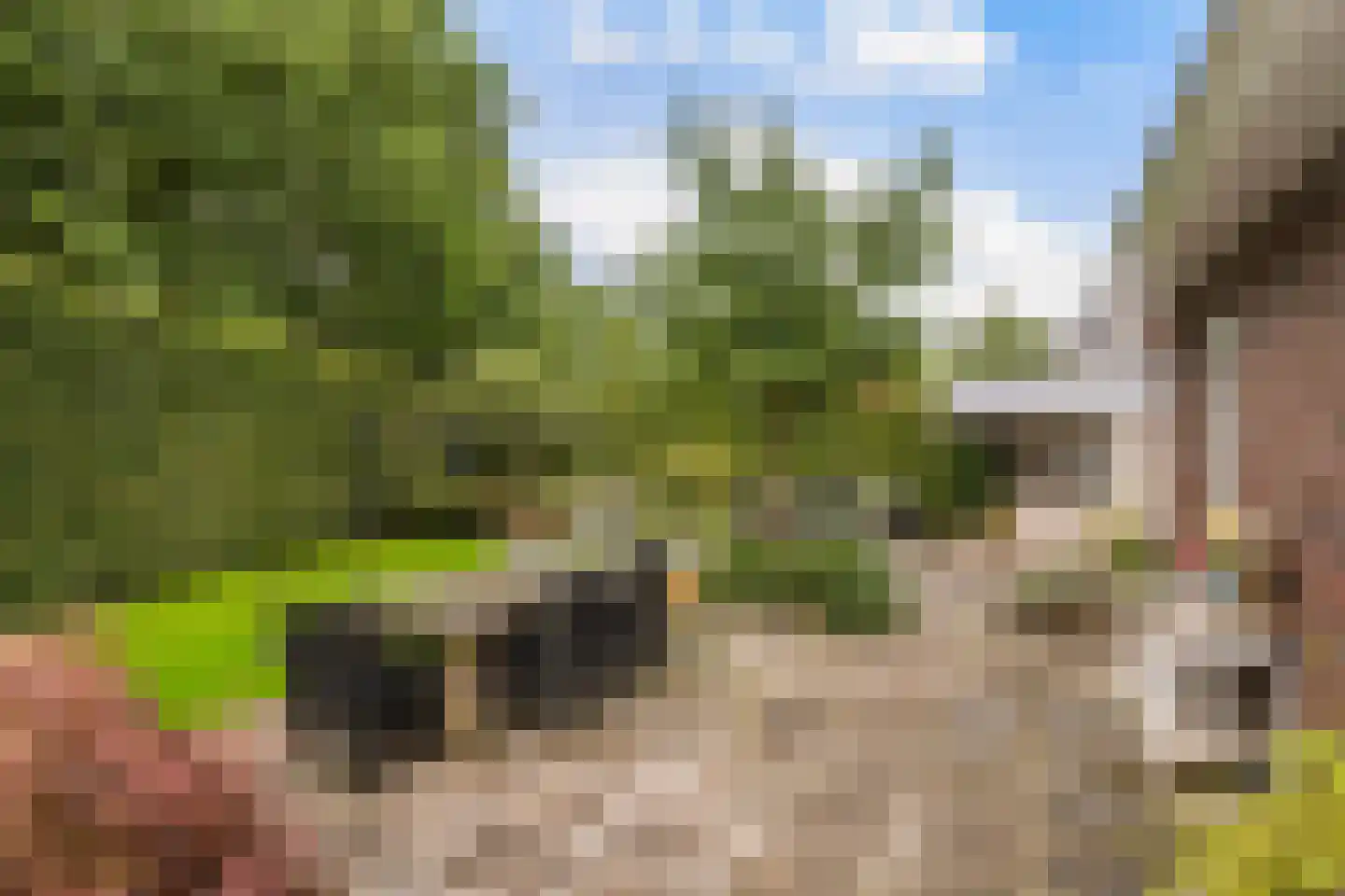 Belvédèrelaan 412 Zwolle thumbnail 39