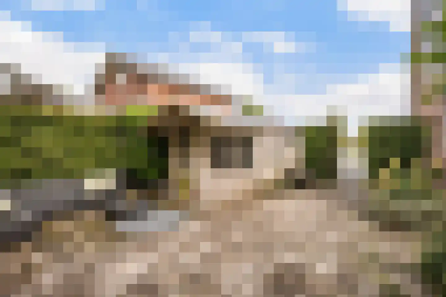 Belvédèrelaan 412 Zwolle thumbnail 41