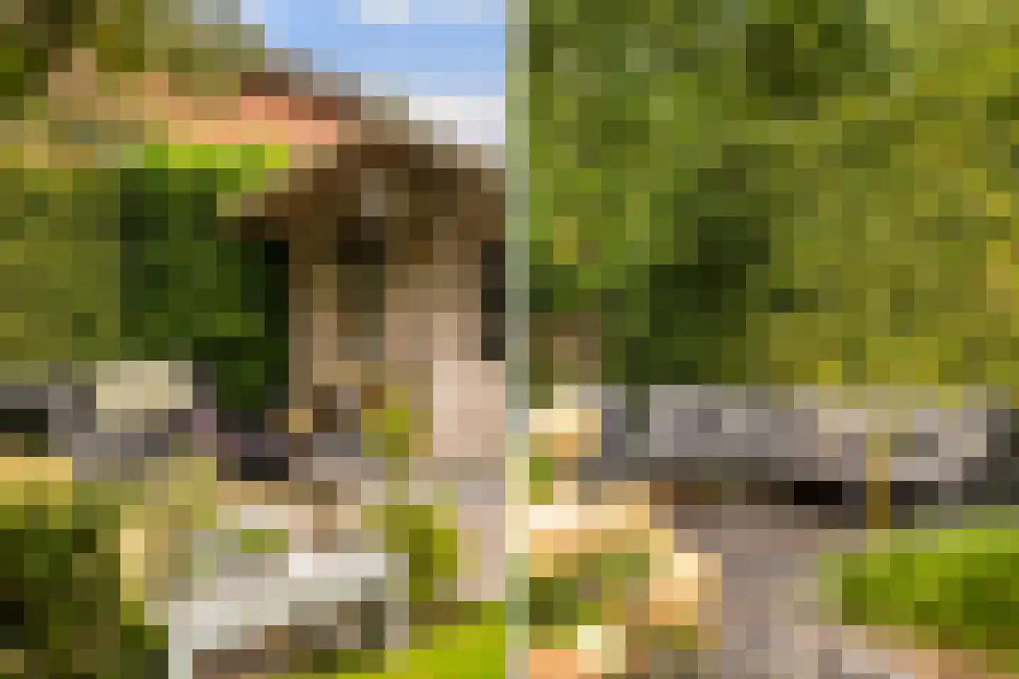 Belvédèrelaan 412 Zwolle thumbnail 42