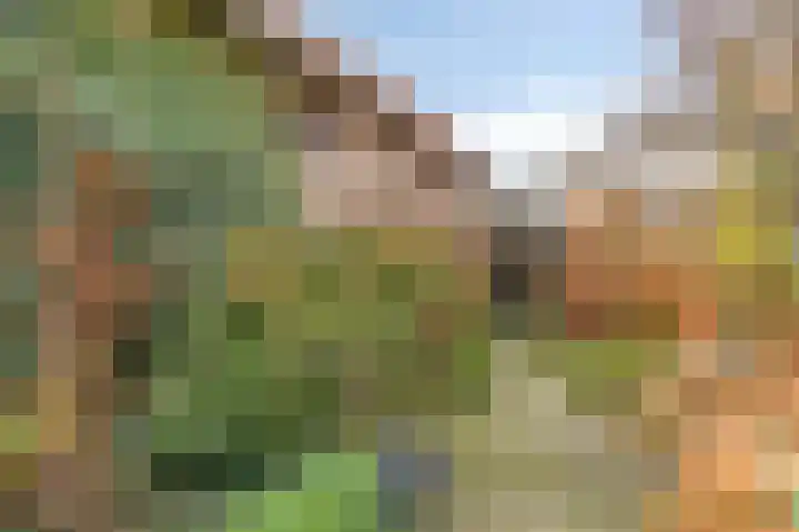 Bemelerweg 26 Maastricht thumbnail 33