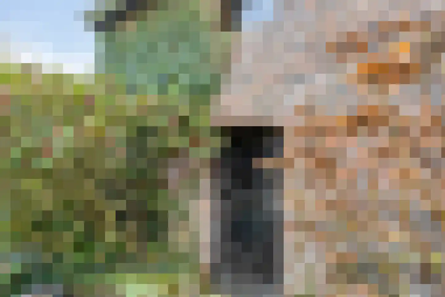 Bemelerweg 26 Maastricht thumbnail 33