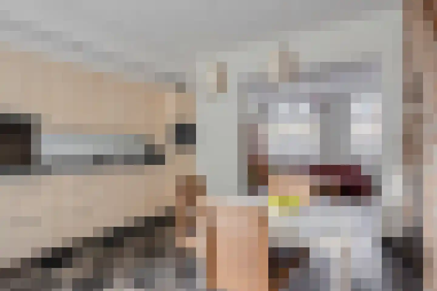 Bemelerweg 26 Maastricht thumbnail 8