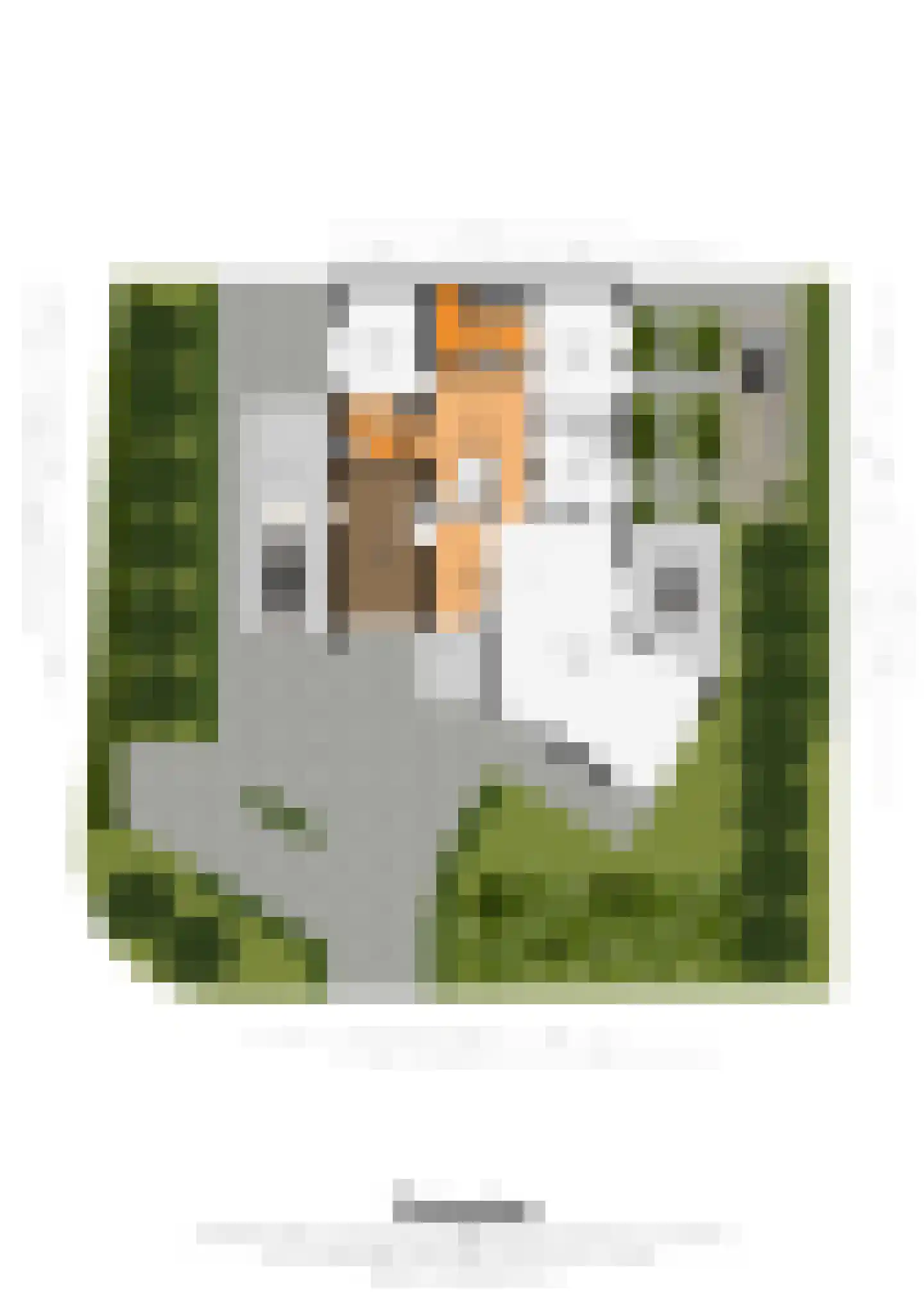 Bemelerweg 48 Cadier en Keer thumbnail 24