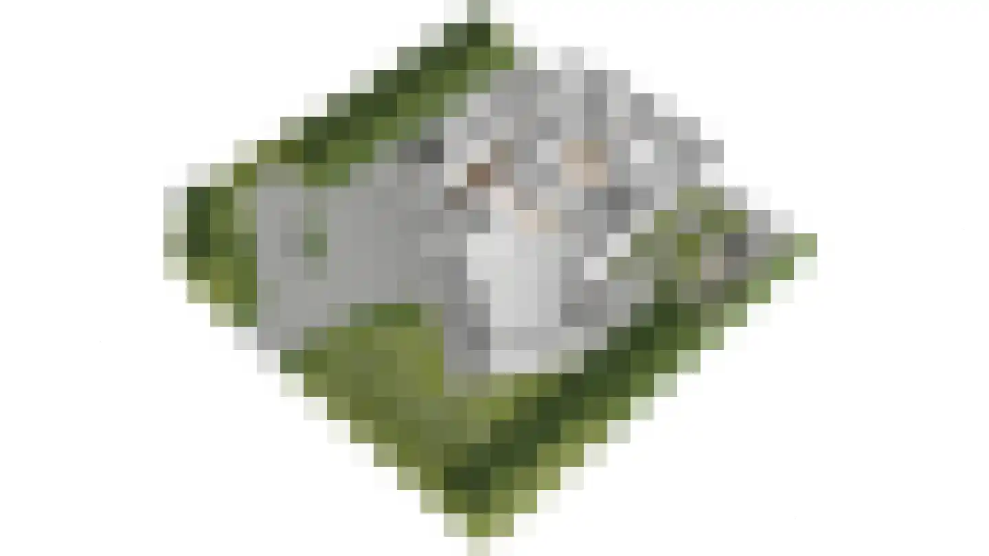 Bemelerweg 48 Cadier en Keer thumbnail 25
