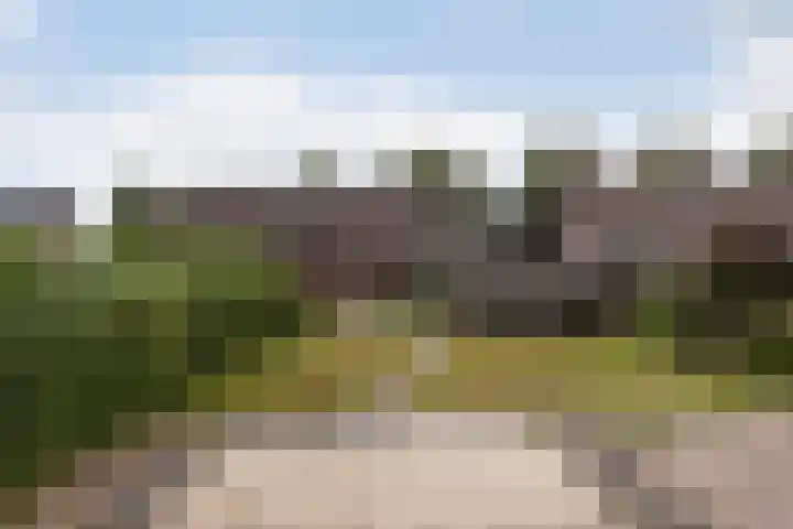 Bemmelseweg 84 Elst thumbnail 19