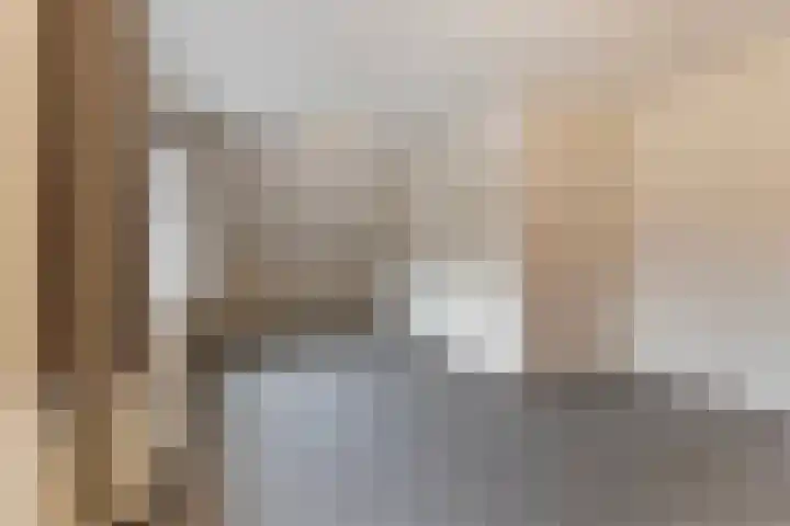 Bemmelstraat 9 a Horst thumbnail 30