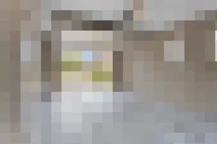 Bemmelstraat 9 a Horst thumbnail 43