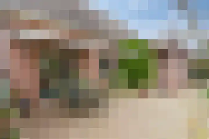 Bemmelstraat 9 a Horst thumbnail 48