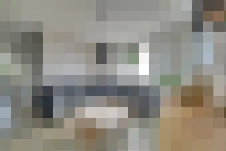 Bemsingel 14 Zevenaar thumbnail 12