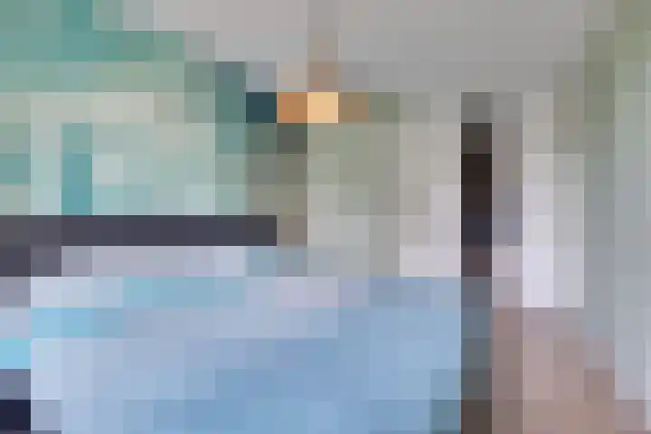 Bemsingel 14 Zevenaar thumbnail 18