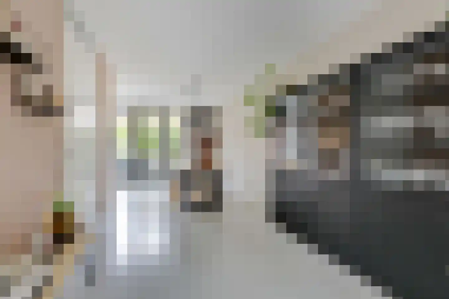 Bemsingel 4 Zevenaar thumbnail 19