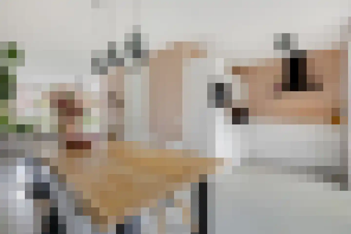 Bemsingel 4 Zevenaar thumbnail 22