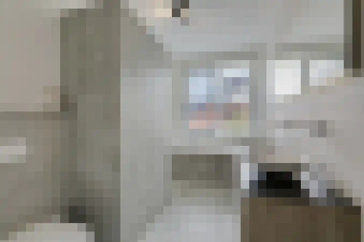 Bemsingel 4 Zevenaar thumbnail 4