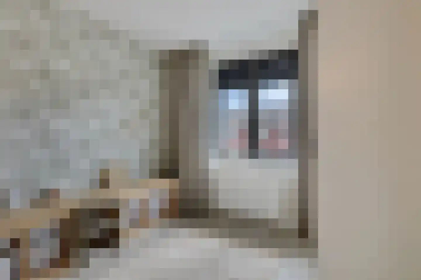 Bemsingel 4 Zevenaar thumbnail 40