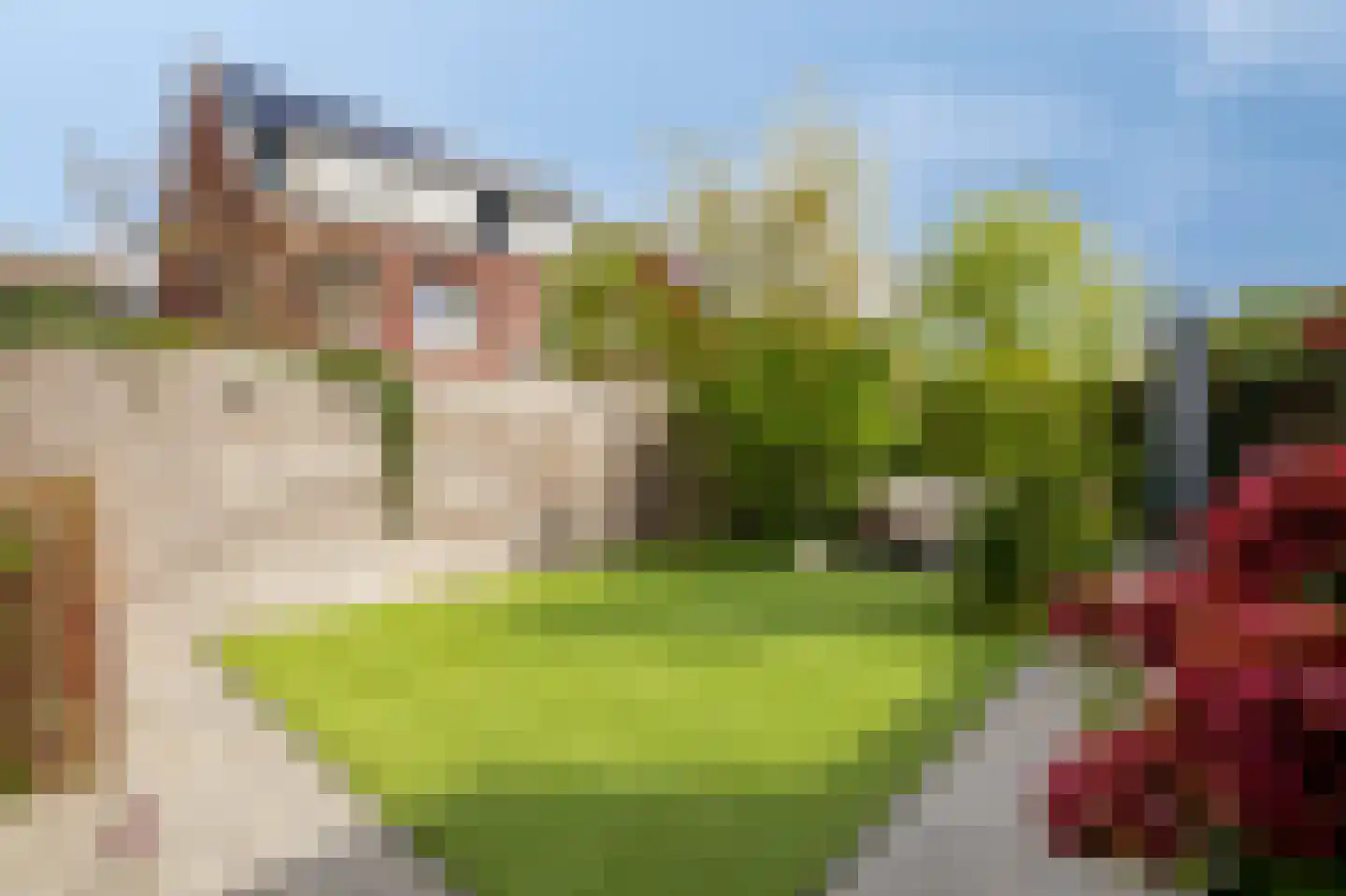 Bemsingel 4 Zevenaar thumbnail 45