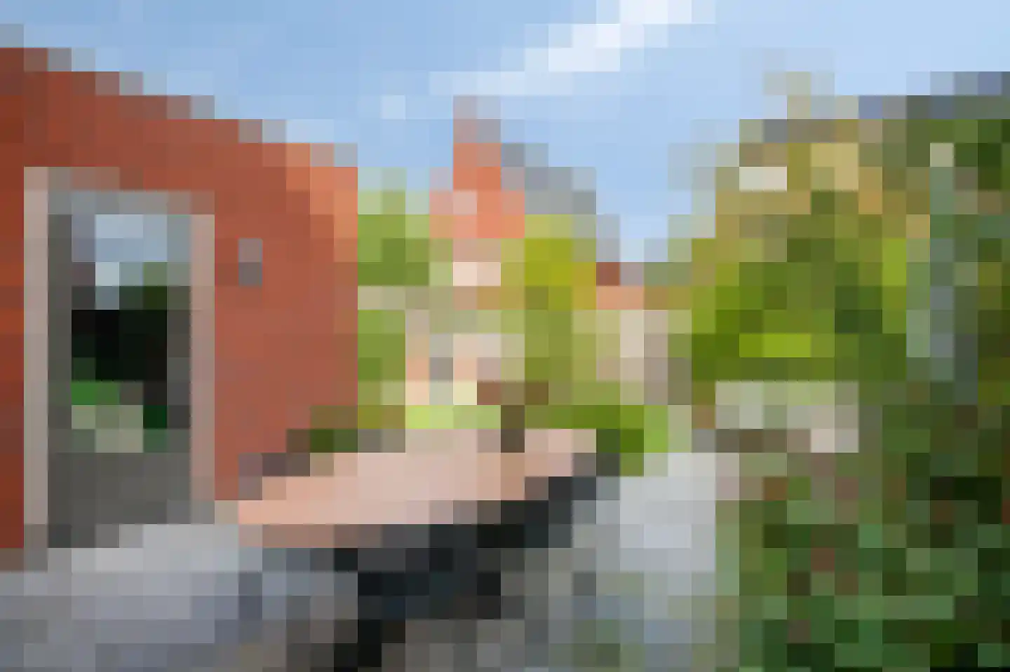 Bemsingel 4 Zevenaar thumbnail 46
