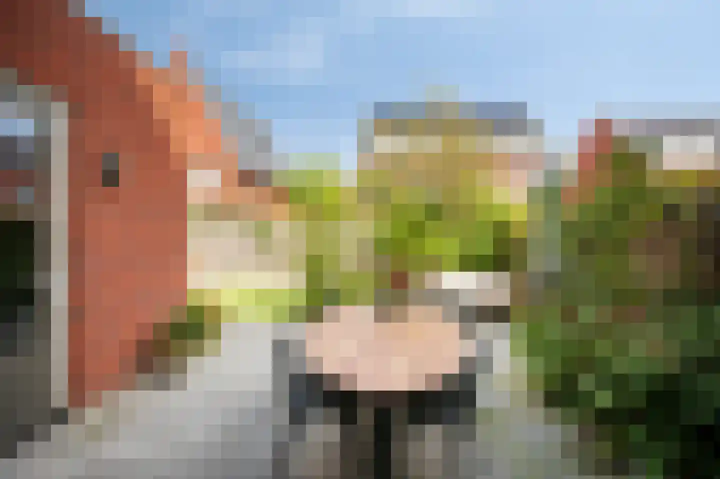 Bemsingel 4 Zevenaar thumbnail 48