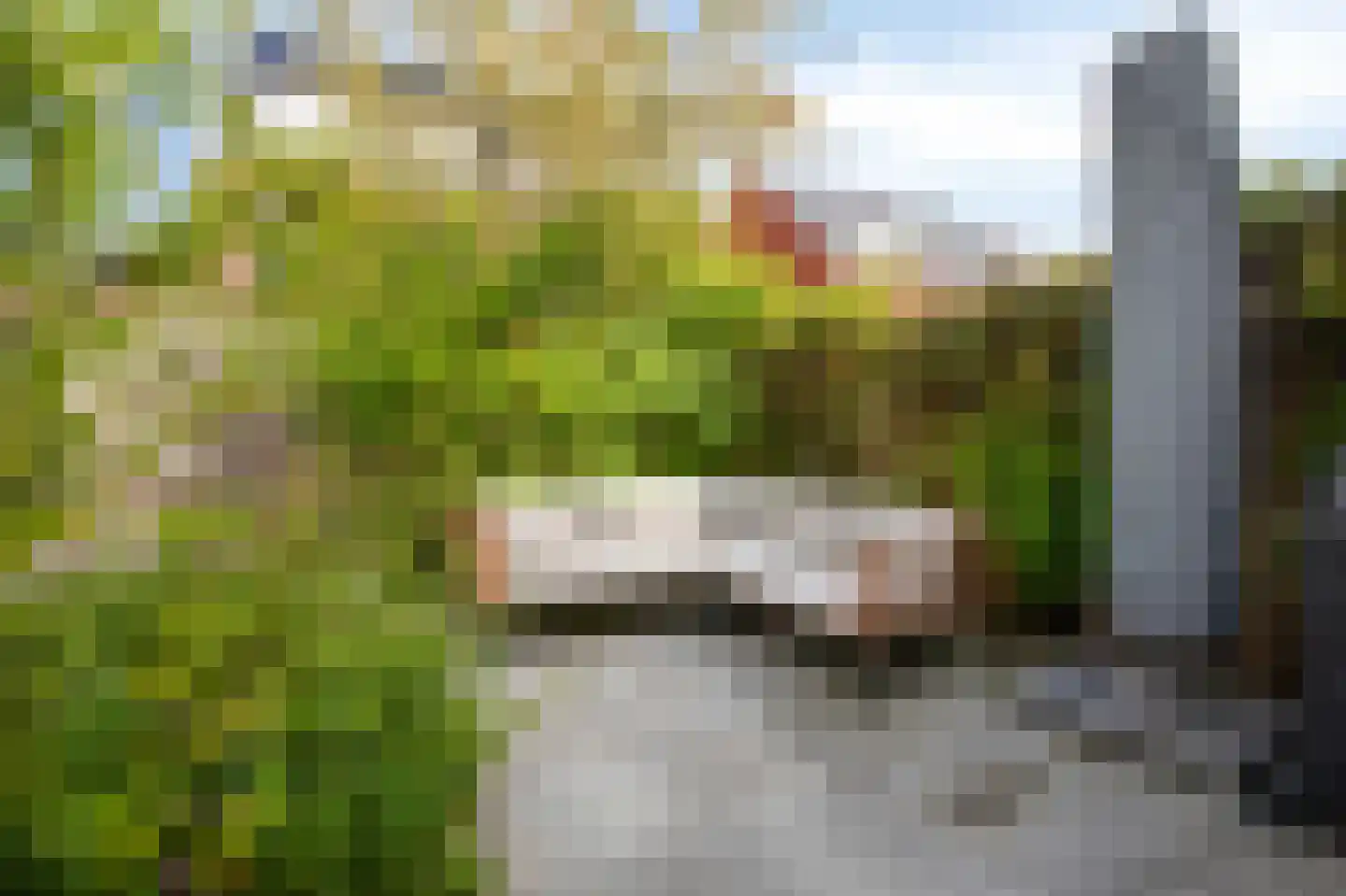 Bemsingel 4 Zevenaar thumbnail 52