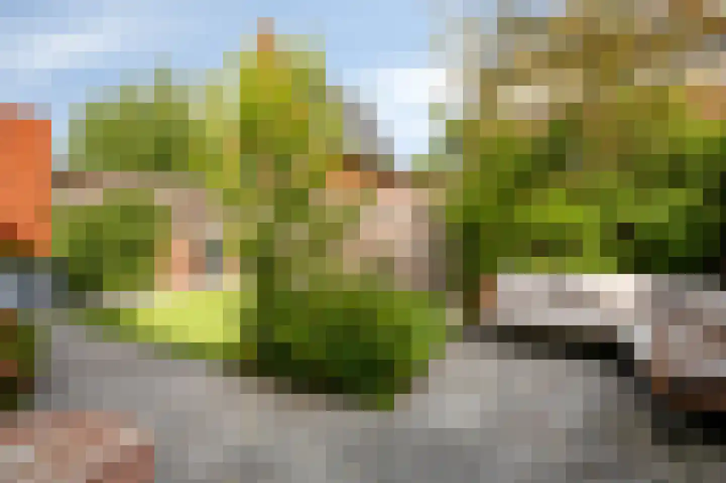 Bemsingel 4 Zevenaar thumbnail 53