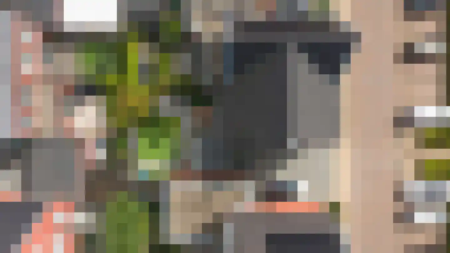 Bemsingel 4 Zevenaar thumbnail 56